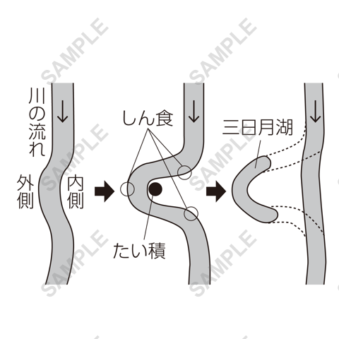 図版サンプル 11（理科）