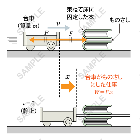 図版サンプル 12（理科）