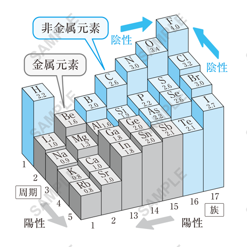 図版サンプル 17（理科）