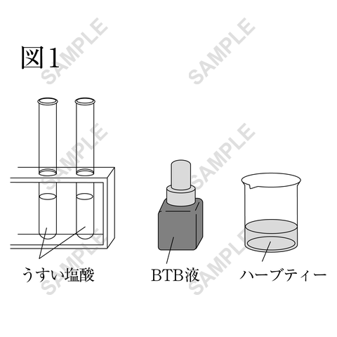図版サンプル 71（理科）
