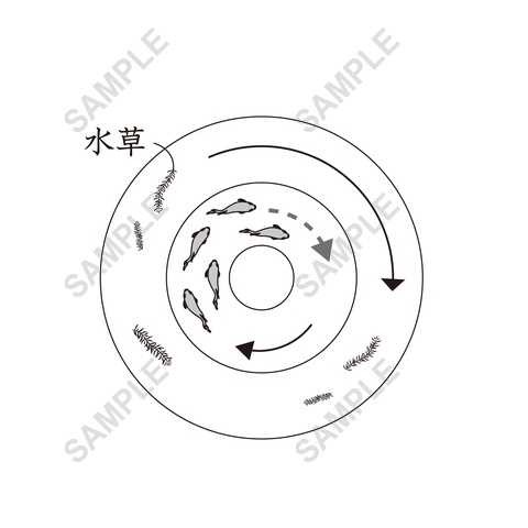 図版サンプル 73（理科）