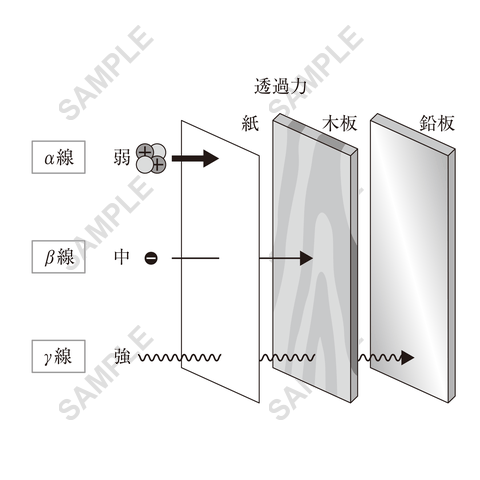 図版サンプル 79（理科）
