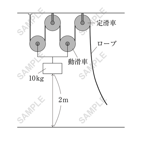 図版サンプル 98（理科）