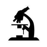 理科