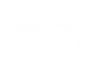社会