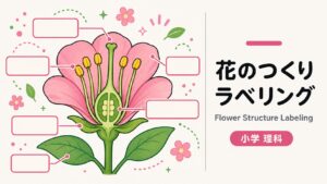 花のつくりラベリングのサンプル